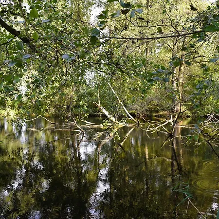 U Bezedne * Velky Osek